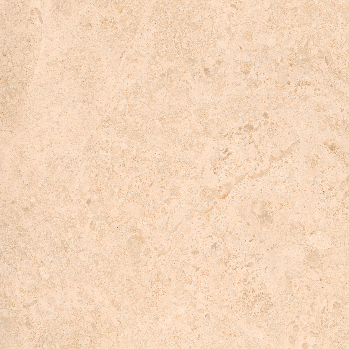 Habitat Sandstorm Light Brown 50x50